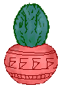 cactuspot2